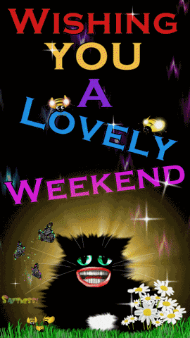 Weekend Gif Friday GIF