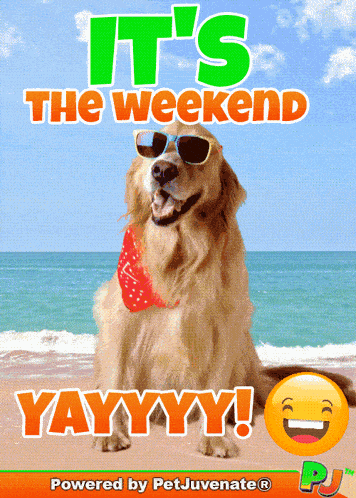 Weekend Happy Weekend GIF