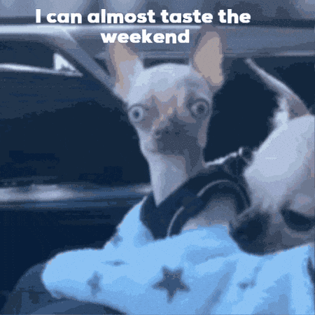 Weekend Is Almost Here Its Friday Eve GIF
