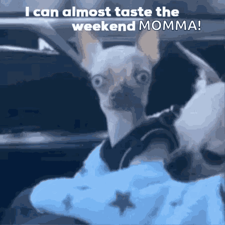 Weekend Is Almost Here Its Friday Eve GIF
