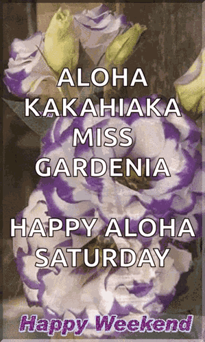 Weekend GIF