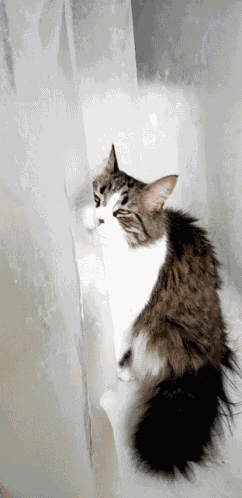 Weirdo Shower GIF