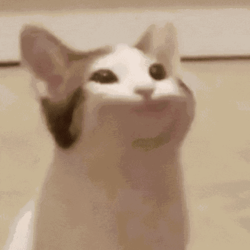 Welbs Sarahwelby GIF