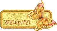 Welcome Butterfly Sticker