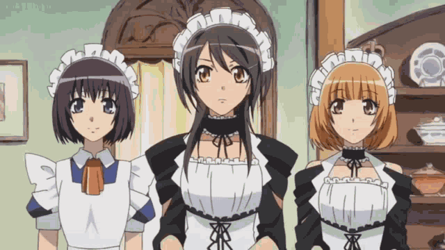 Welcome Home Master Maid Sama GIF