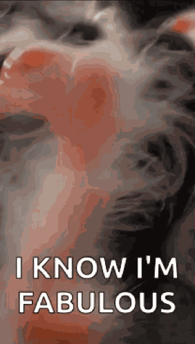 Well Hello Hello There GIF