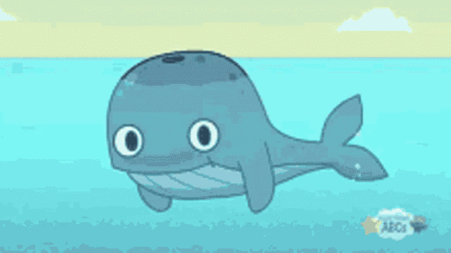 Whale Whale Sharks GIF