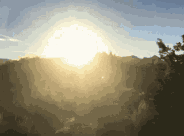 What A Sunny Day GIF