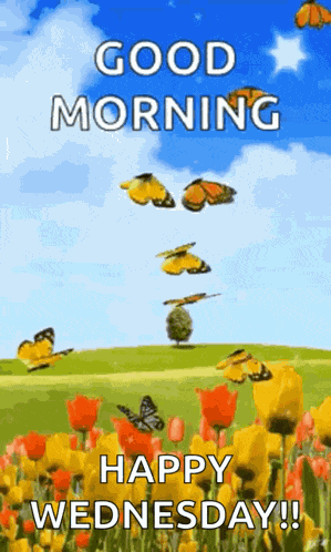 What A Sunny Day GIF