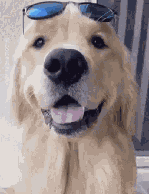What A Sunny Day GIF