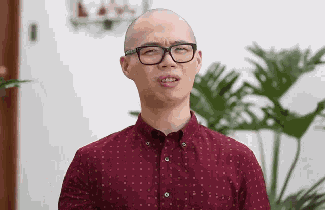 What Are You An Overgrown Kid Chris Cantada GIF