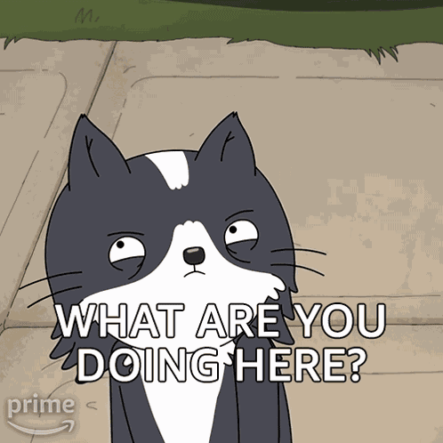 What Are You Doing Here Kevin GIF