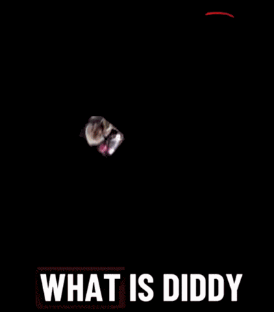 What Is Diddy Blud Doing Does He Think He Is Einstein GIF