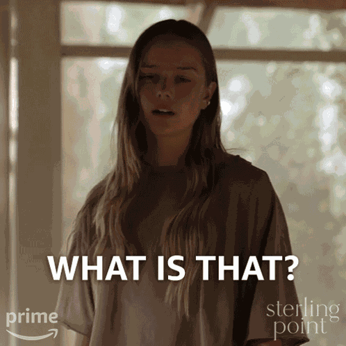 What Is That Ramona GIF