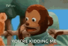 What Monkey GIF