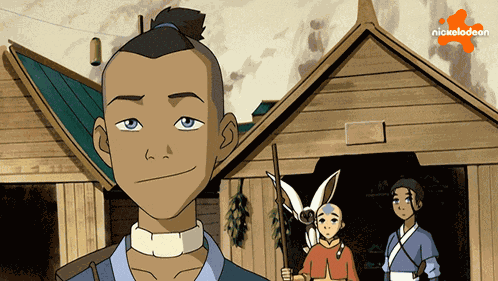 What Sokka GIF