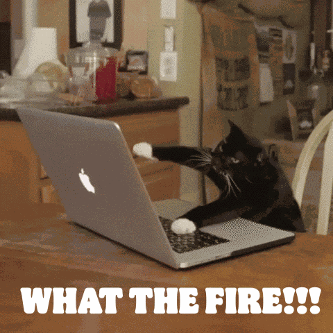 What The Fire What The Fluff GIF