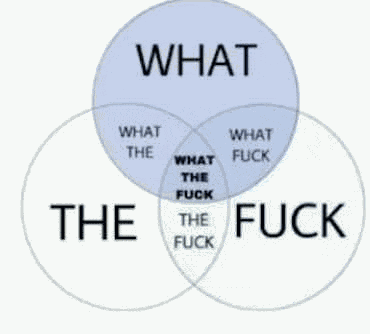 What The Fuck Meme
