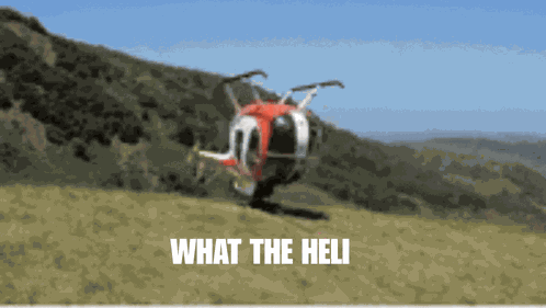 What The Heli What The Hell GIF
