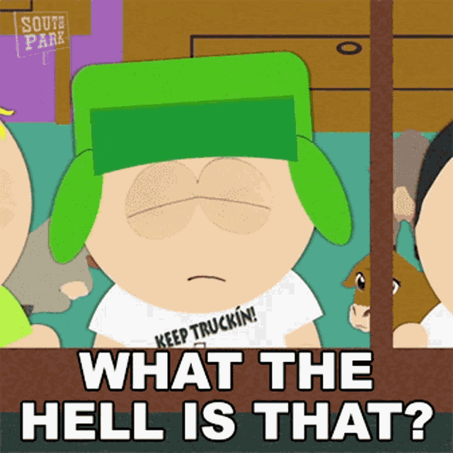 What The Hell Is That Kyle Broflovski GIF