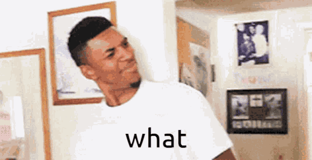 What Wtf GIF