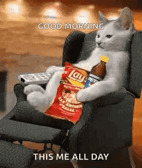 Whatever Bye GIF
