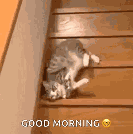 Whatever Bye GIF