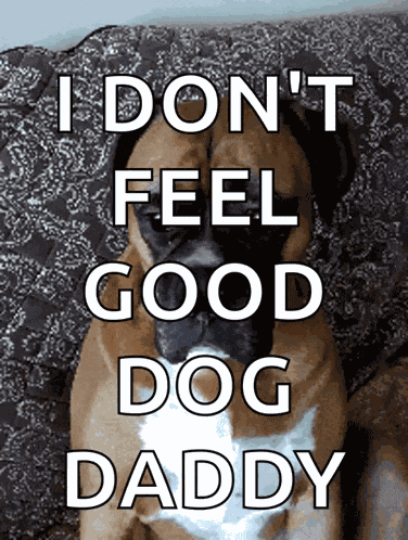 Whatever Whatever You Say GIF