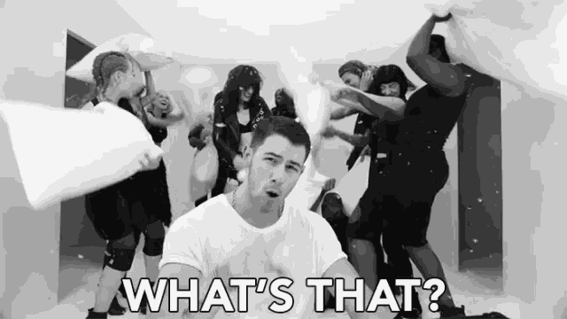 Whats That What Is That GIF