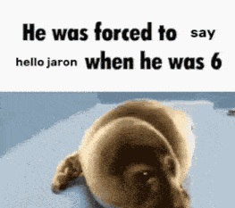 When He Was 6 He Was Forced To Say Hello Jaron GIF