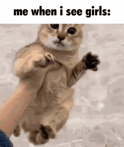 When I See Girls Me When I See Girls GIF
