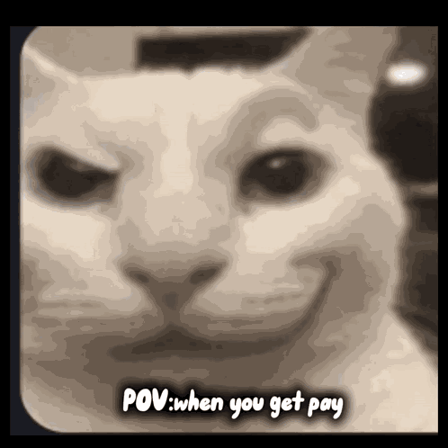 When You Get Pay GIF