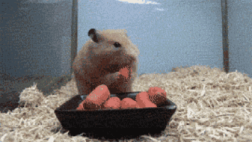 Whenever There'S Free Food At The Office GIF
