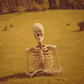 Where Are You Where You At GIF