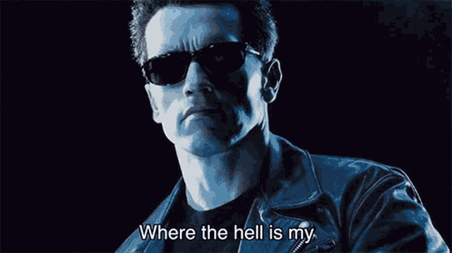 Where The Hell Is My Telephone Located Arnold Schwarzenegger GIF