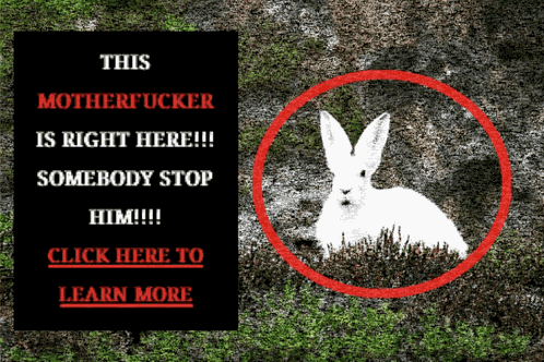 White Rabbit Click Here To Learn More GIF