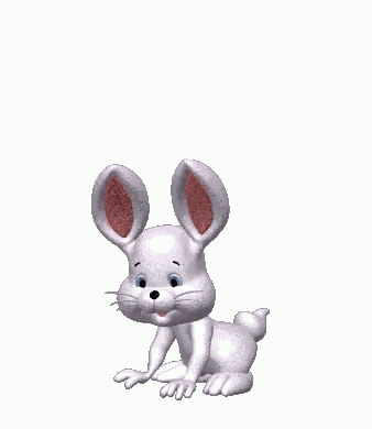 White Rabbit Jumping GIF