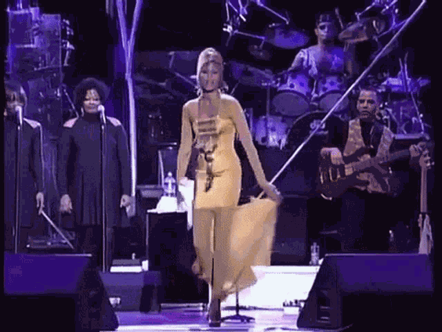Whitney Houston Nippy GIF
