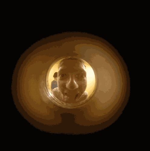 Who Is There Who There GIF