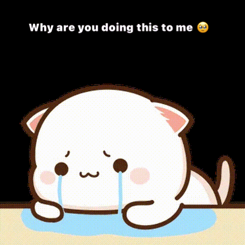 Why Are You Doing This To Me Peach Cat GIF