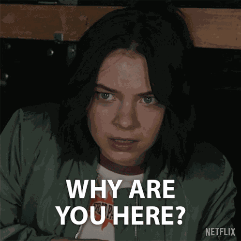 Why Are You Here Pippa Fitz-amobi GIF