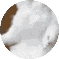 Why Just Why Sticker