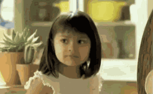 Why Not Both GIF