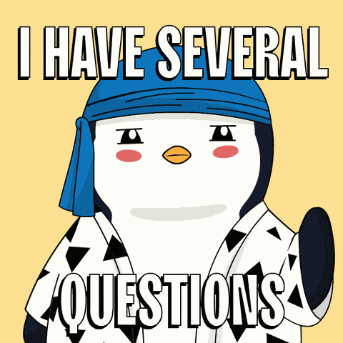 Why Penguin GIF