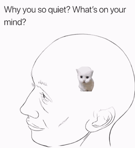 Why So Quiet Hopcat GIF