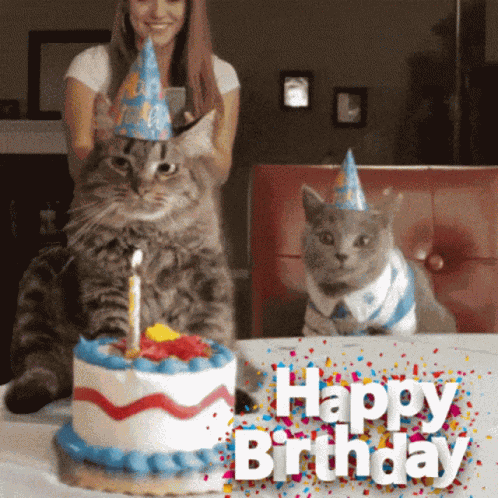 Why You GIF