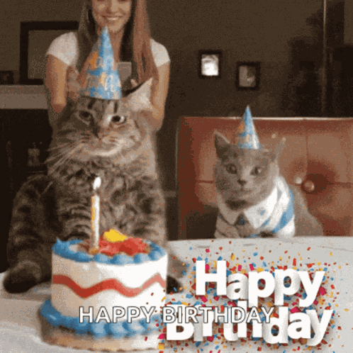 Why You GIF