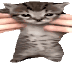 Wiggle Cat Wiggle Sticker