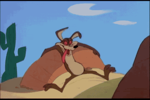 Wile E Coyote Looney Tunes GIF
