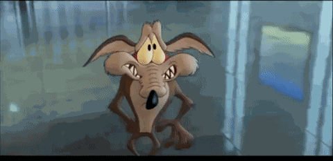 Wile E Coyote Looneytunesforever GIF
